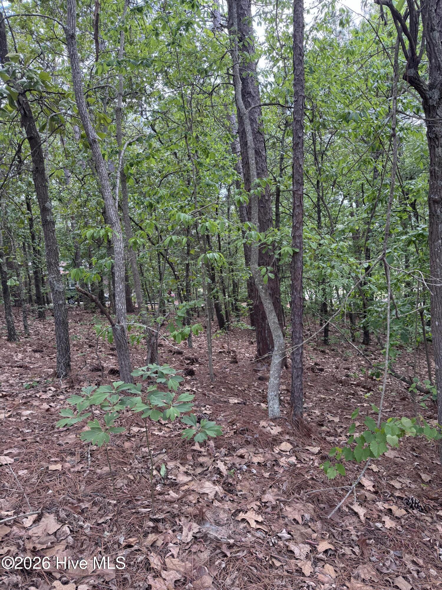 148 4177 Otter Drive Property Photo 3