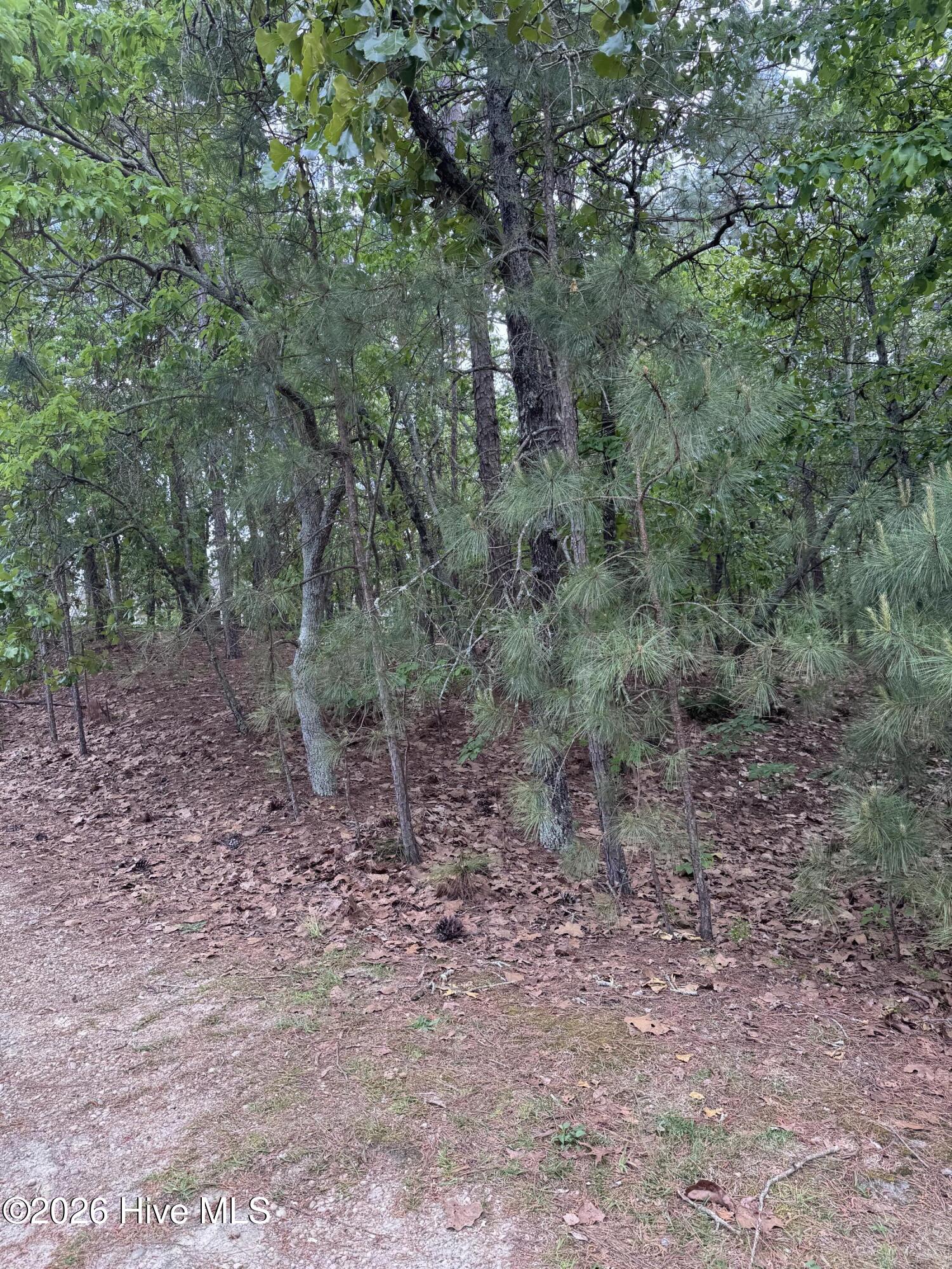 148 4177 Otter Drive Property Photo 4
