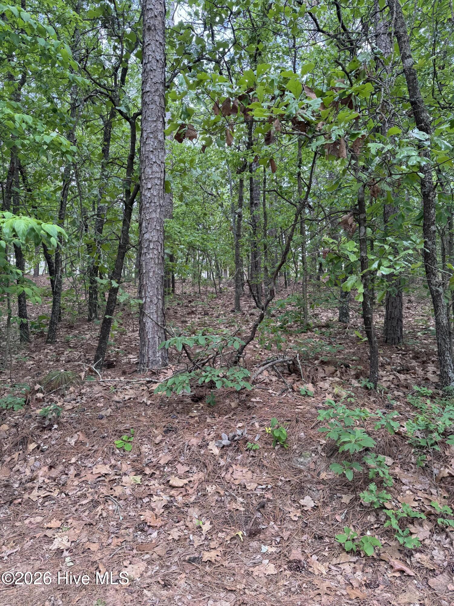 148 4177 Otter Drive Property Photo 5