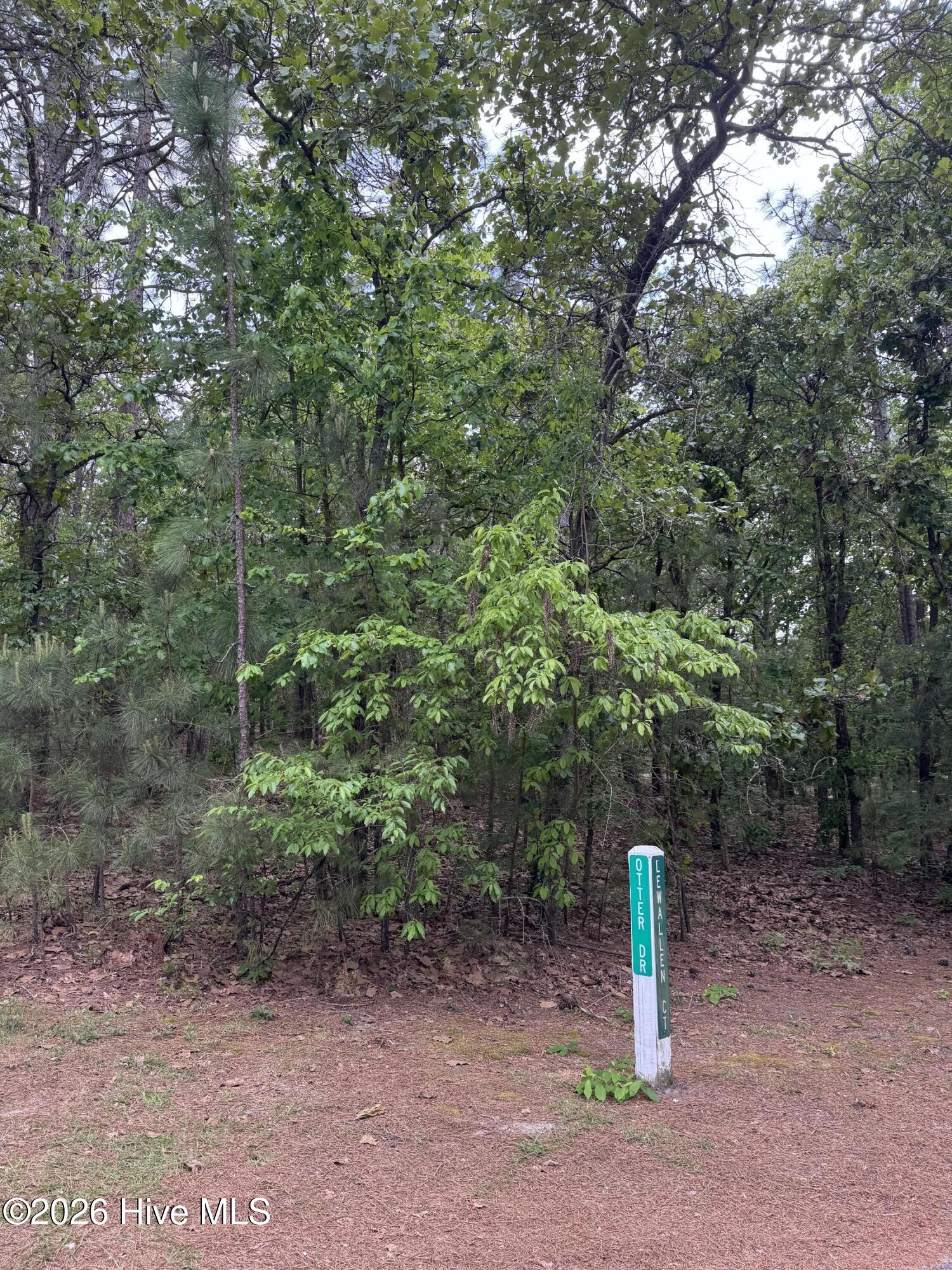 148 4177 Otter Drive Property Photo 6