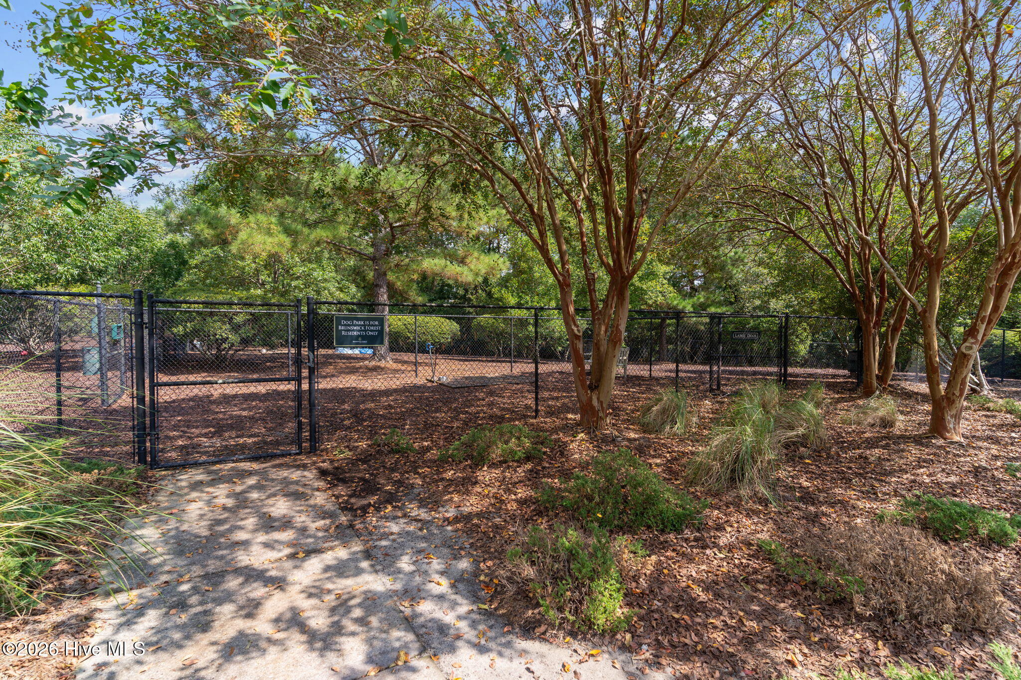 1326 Star Grass Way Property Photo 58