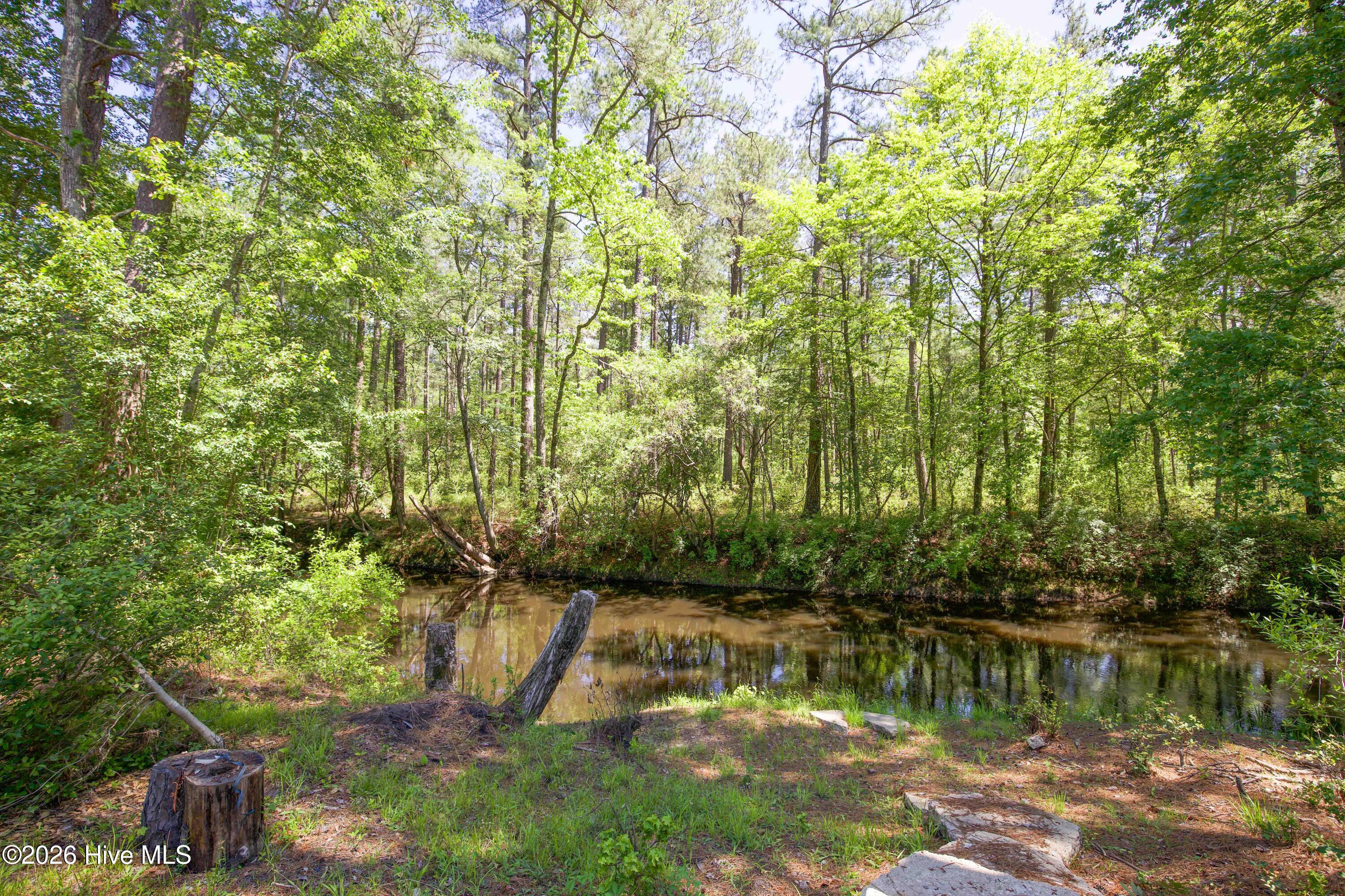 168 Riverview Drive Property Photo 49