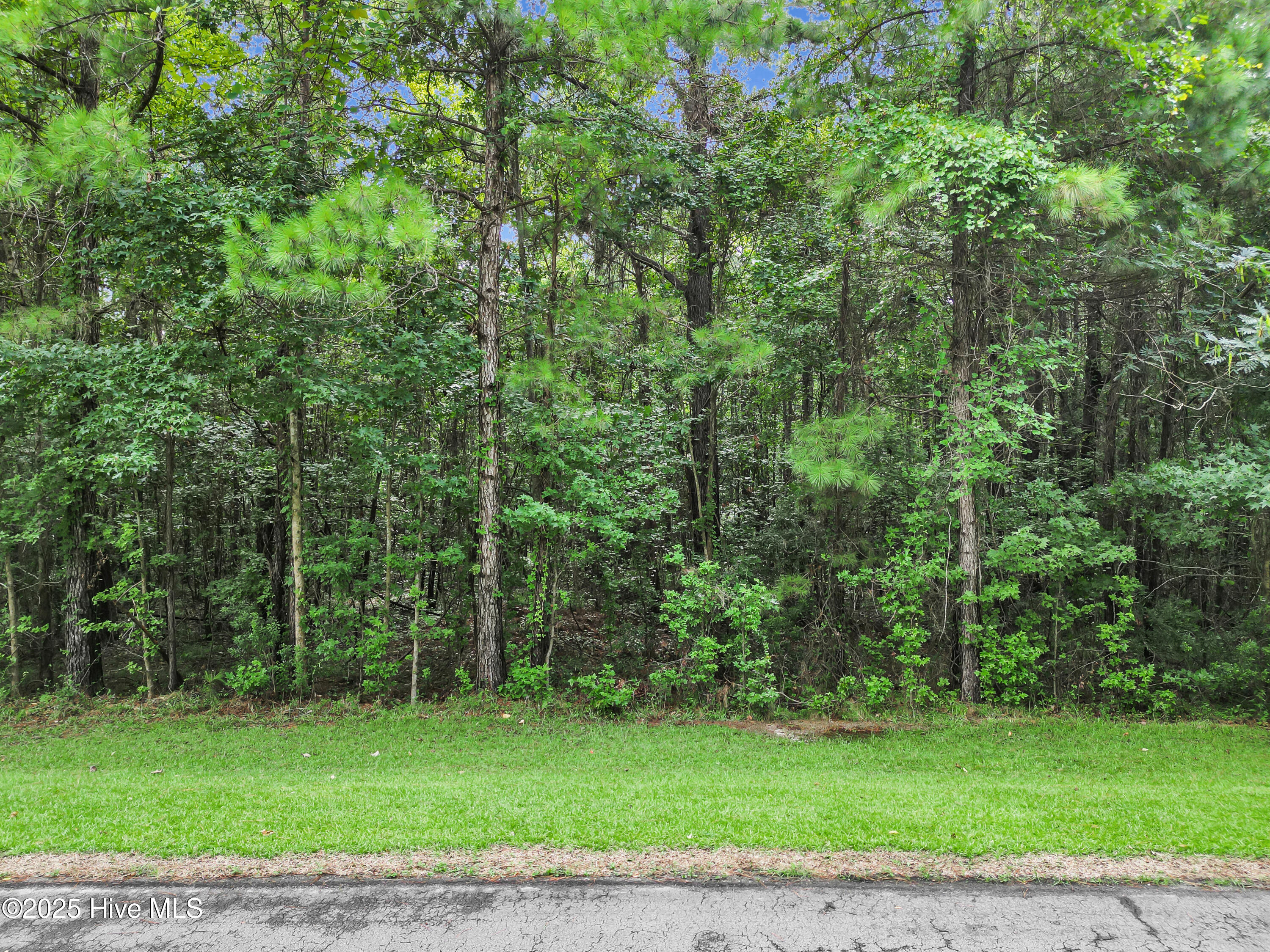 531 Sandy Point Drive Property Photo 6