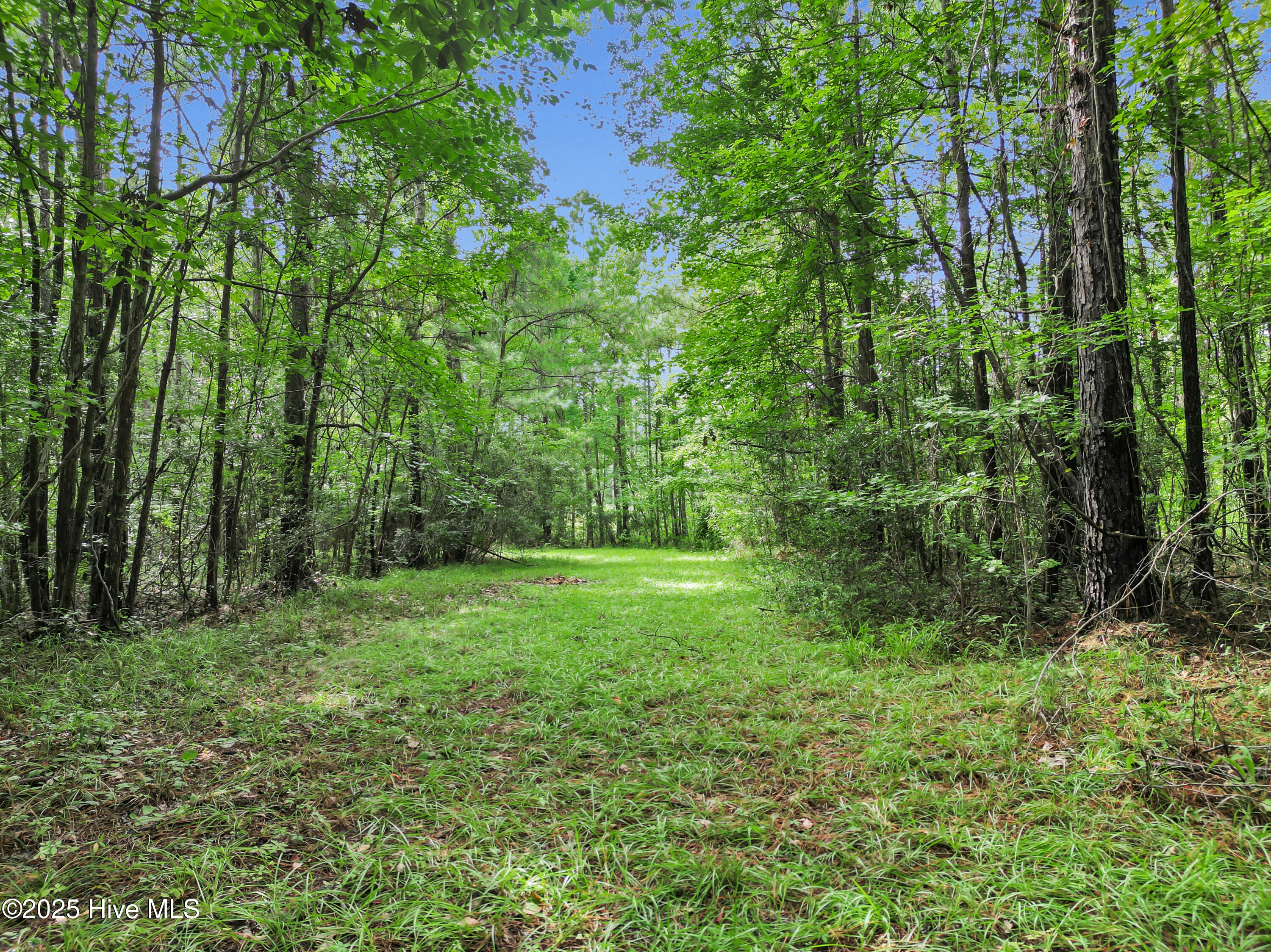 531 Sandy Point Drive Property Photo 7