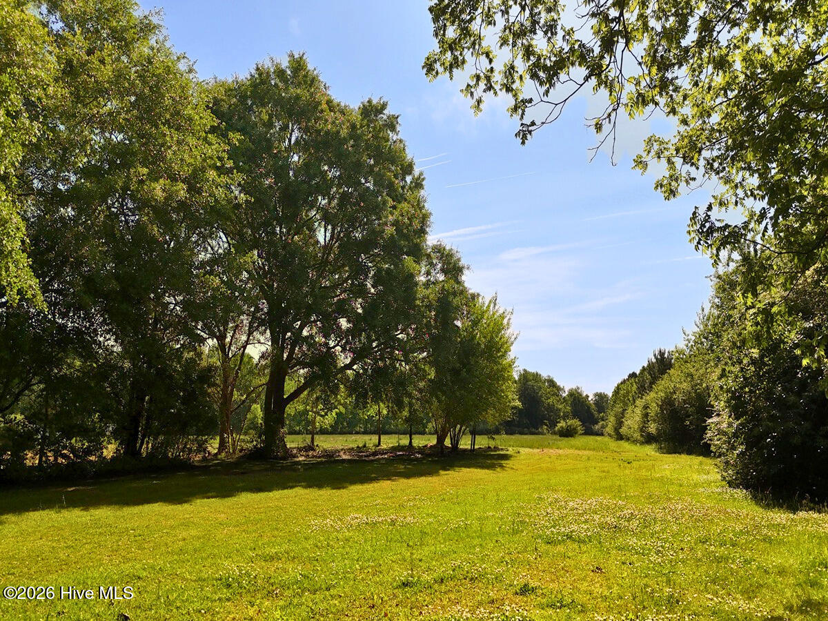 0 Old Chinquapin Road Property Photo 1
