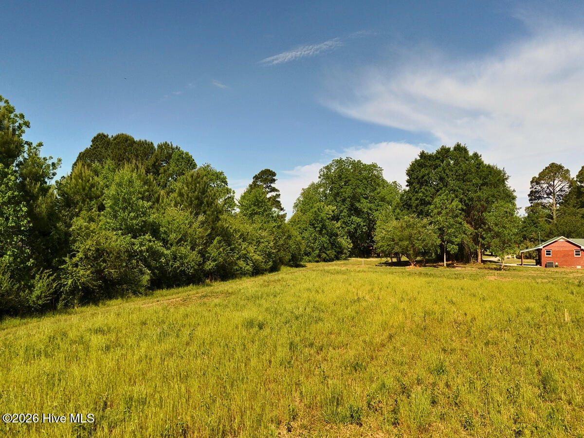 0 Old Chinquapin Road Property Photo 11