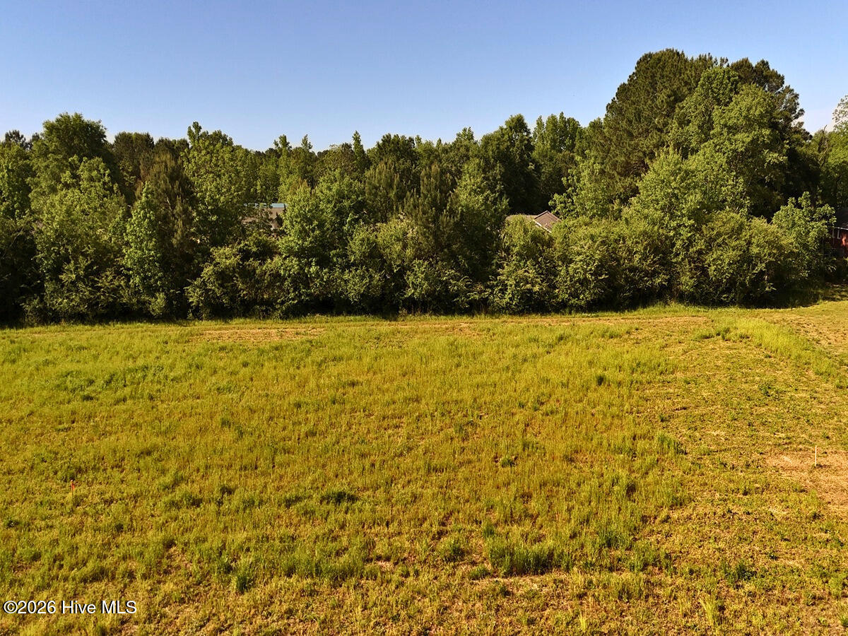 0 Old Chinquapin Road Property Photo 12