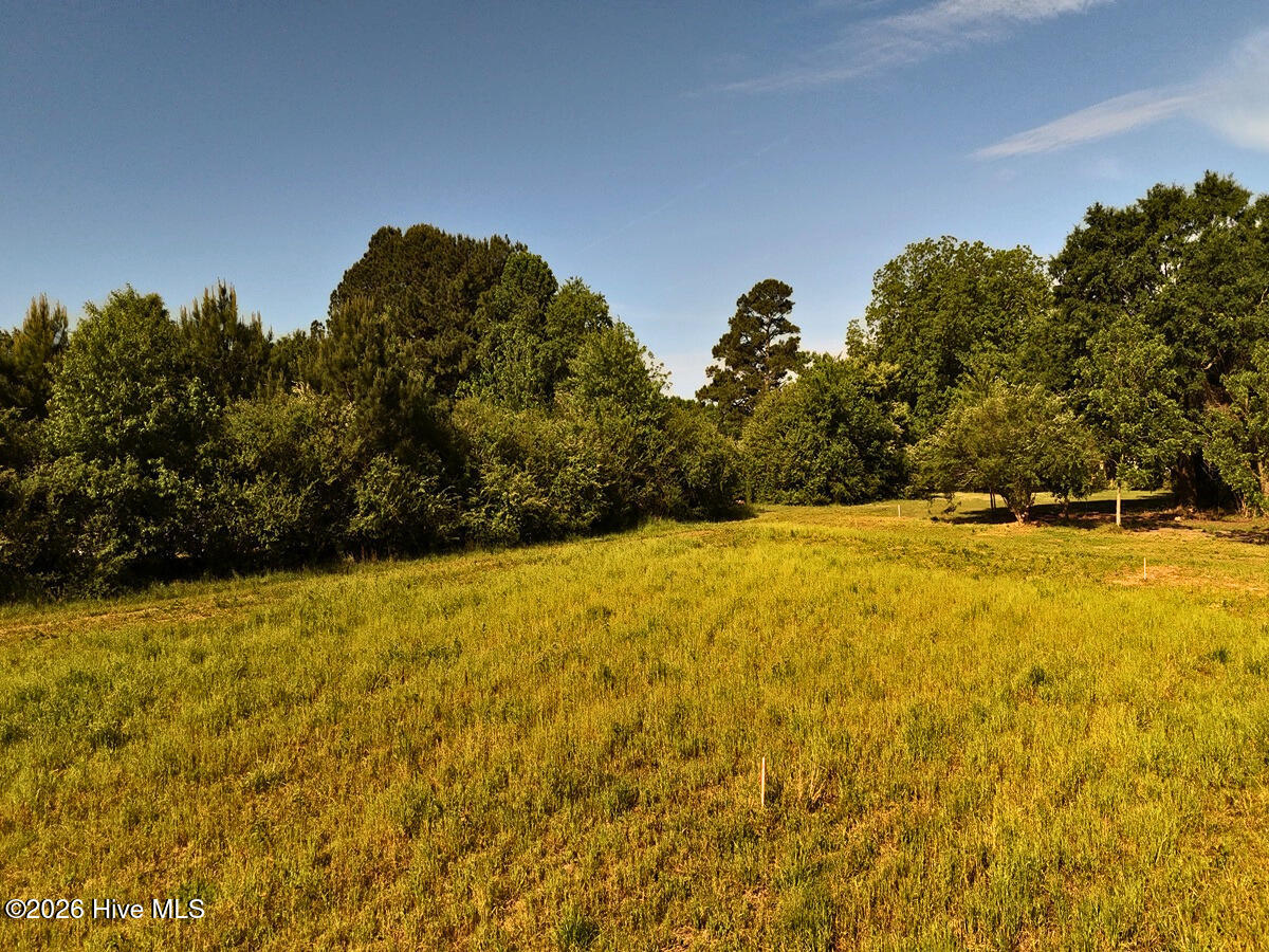0 Old Chinquapin Road Property Photo 13