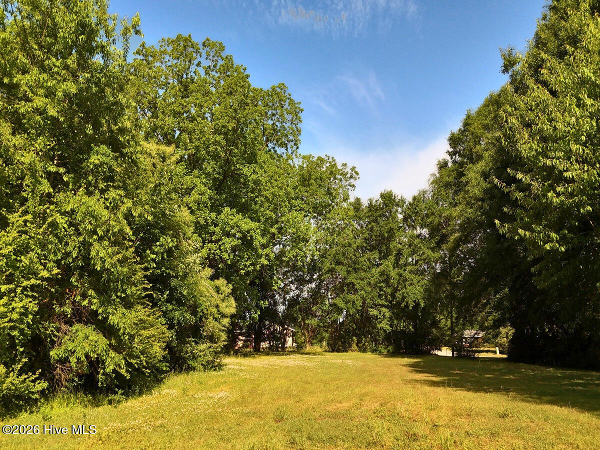 0 Old Chinquapin Road Property Photo 20