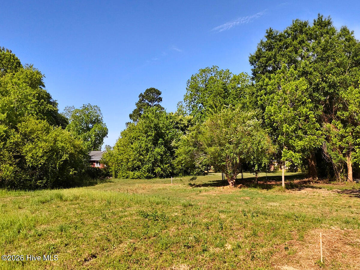 0 Old Chinquapin Road Property Photo 21