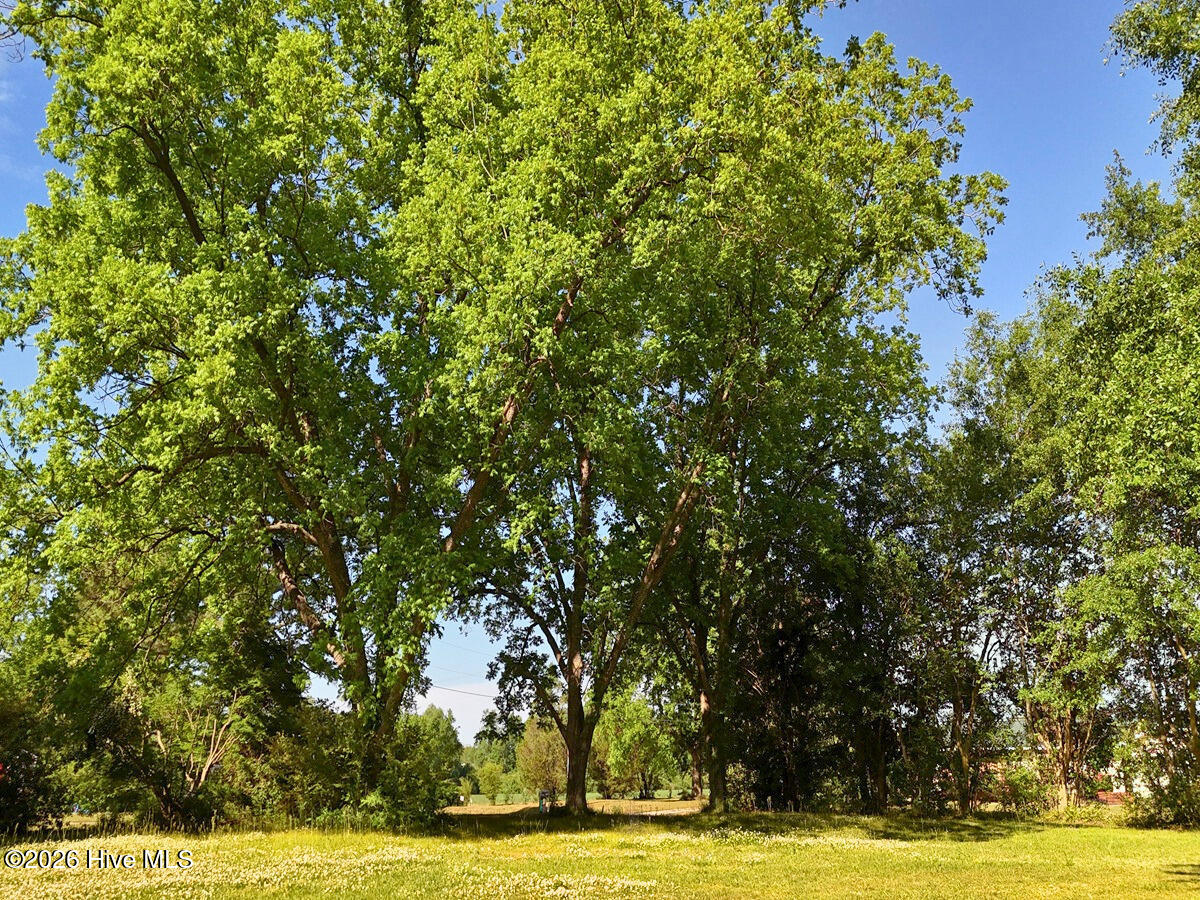 0 Old Chinquapin Road Property Photo 22