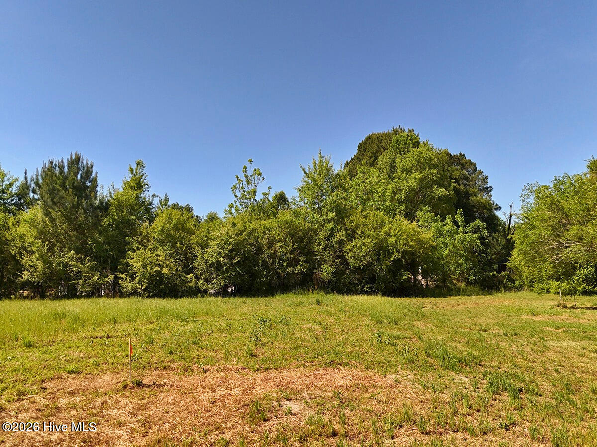 0 Old Chinquapin Road Property Photo 23