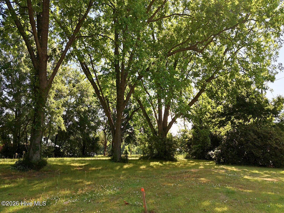 0 Old Chinquapin Road Property Photo 25