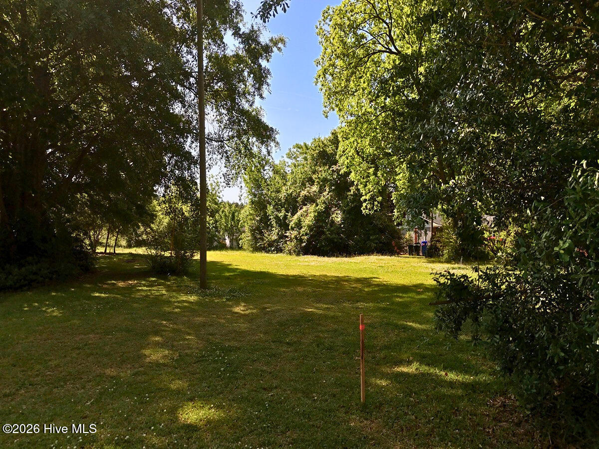 0 Old Chinquapin Road Property Photo 26