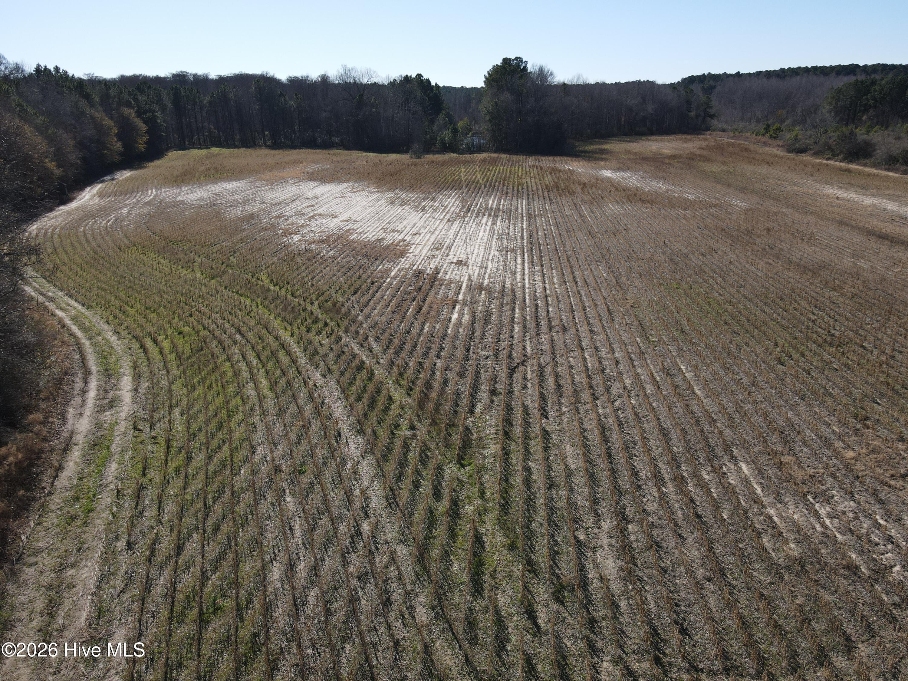 1715 E Old Spring Hope Road Property Photo 1