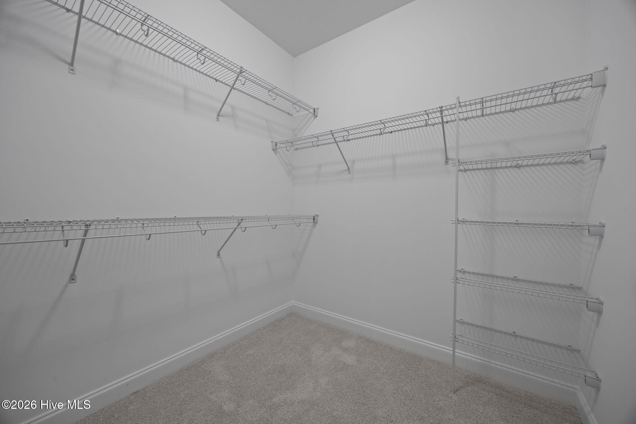 289 Shortleaf Drive Property Photo 27