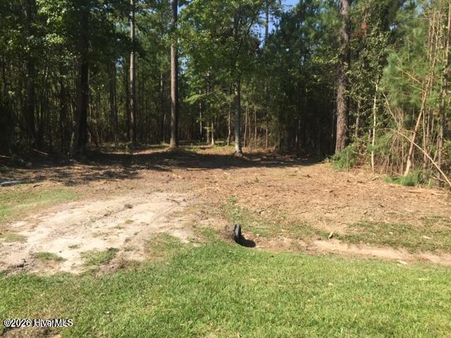 2421 Bailey Point Drive Property Photo 2
