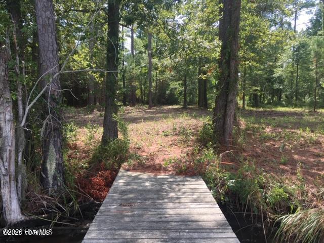 2421 Bailey Point Drive Property Photo 4
