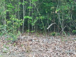 125 Mockingbird Lane Property Photo 1