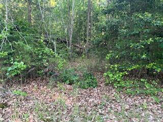 125 Mockingbird Lane Property Photo 3