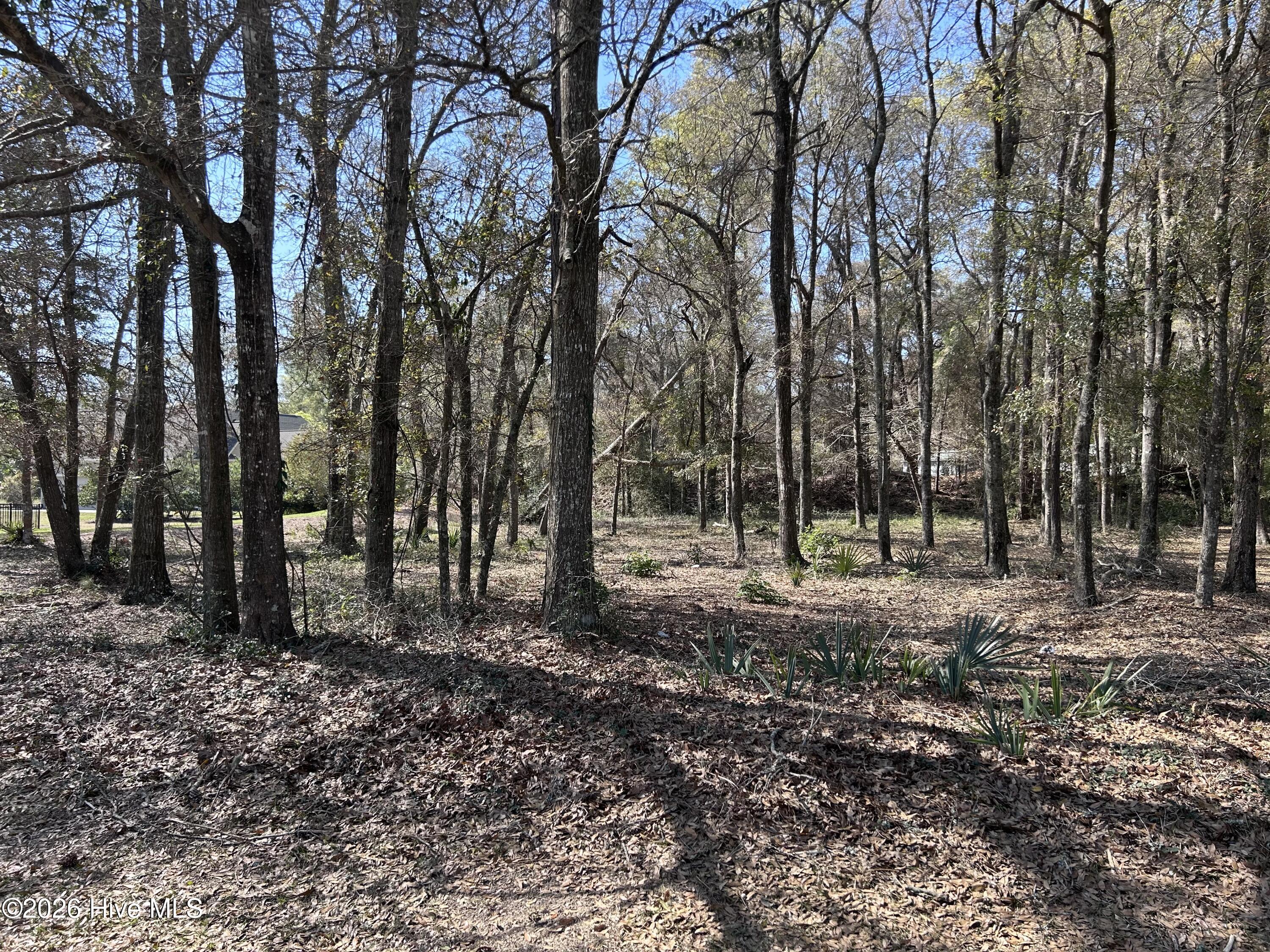 1951 Redfish Run Sw Property Photo 1