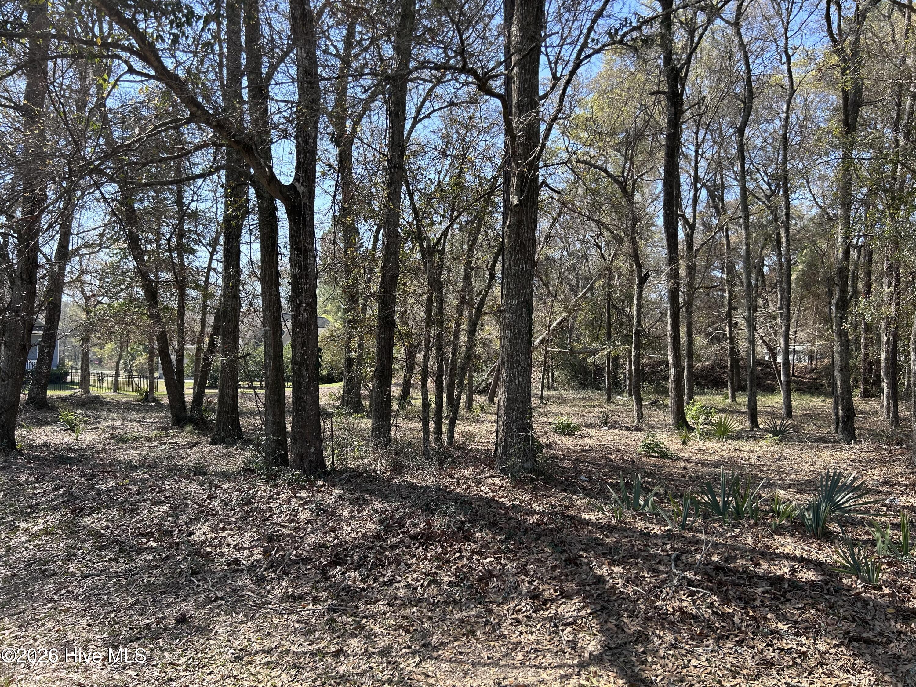 1951 Redfish Run Sw Property Photo 3