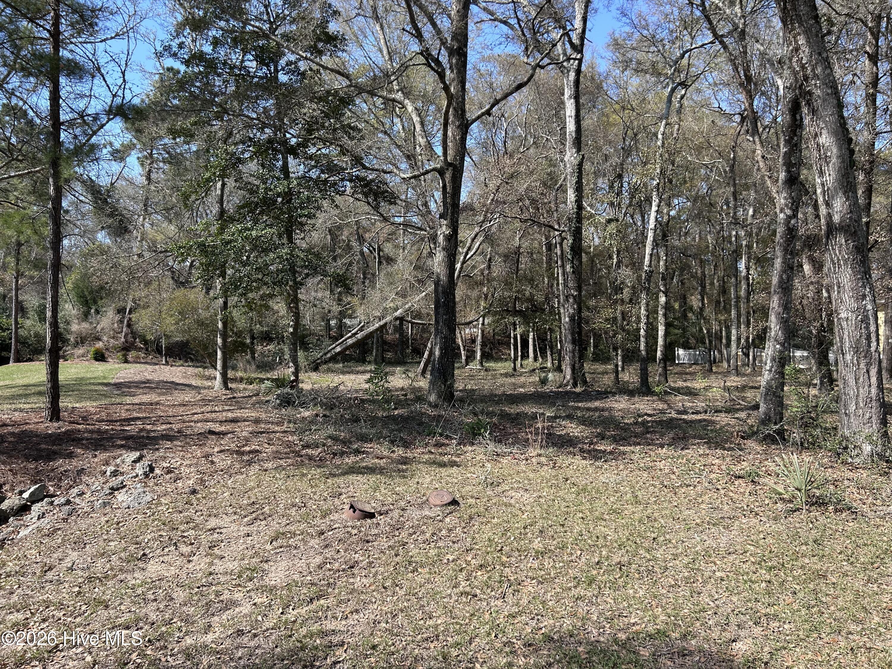 1951 Redfish Run Sw Property Photo 4