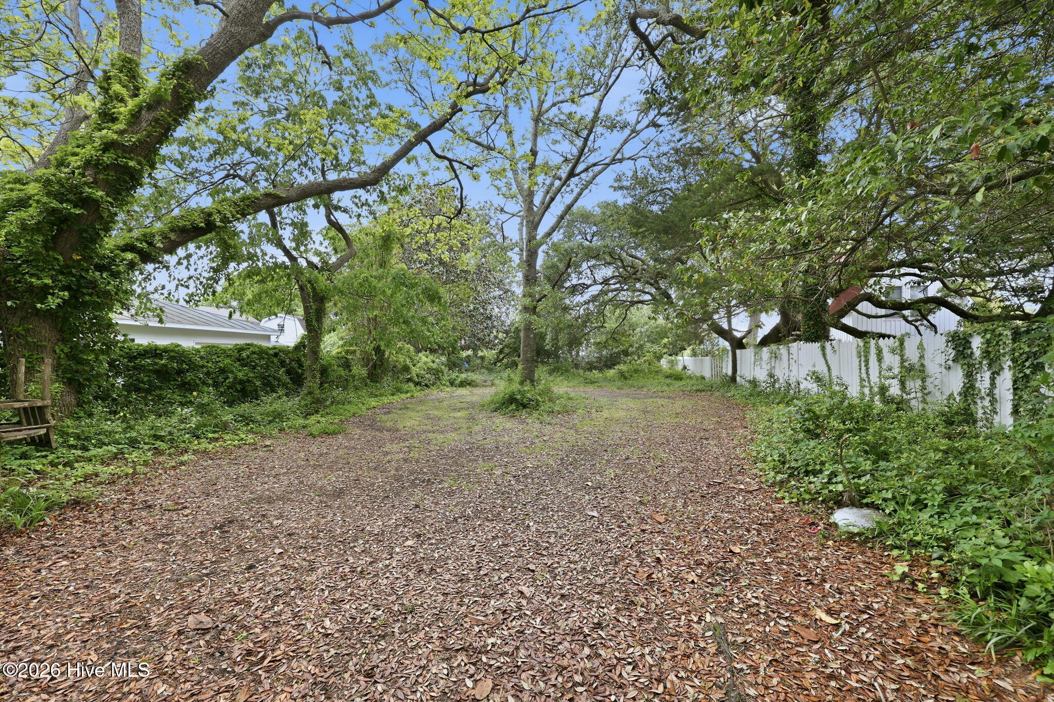 307 Ann Street Property Photo 38