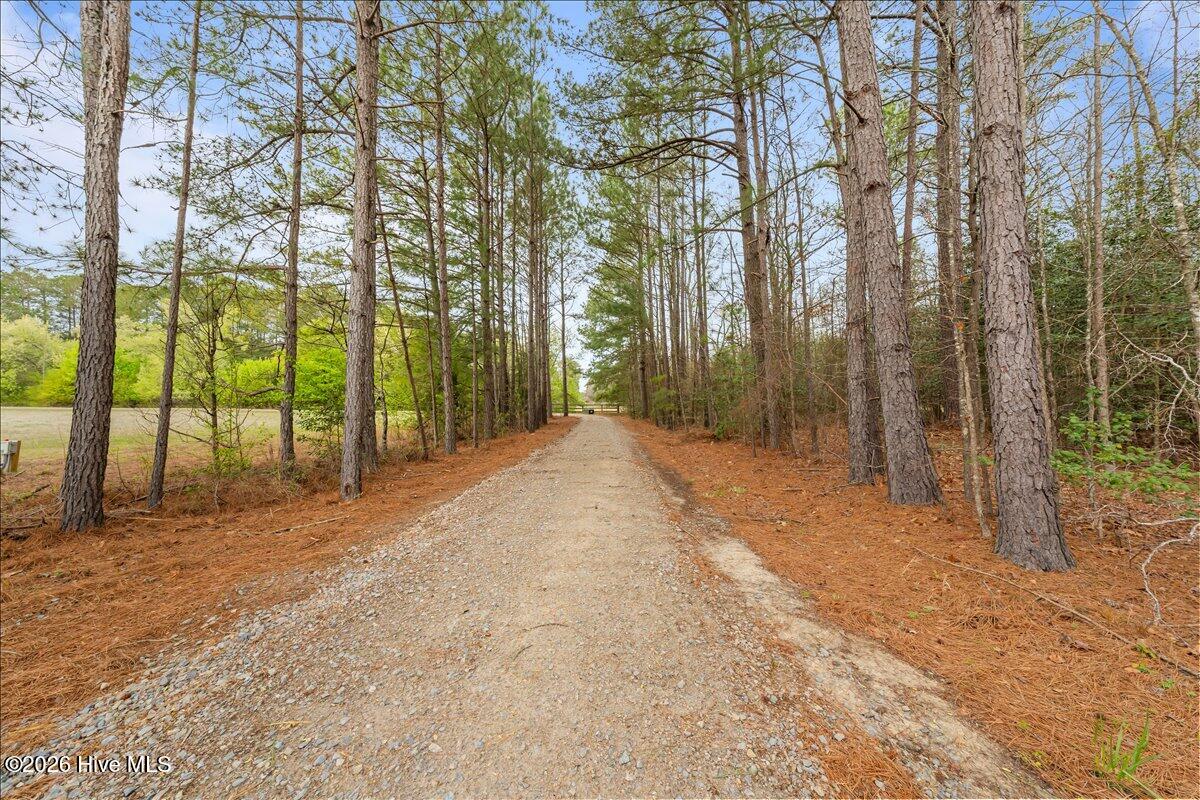 1000 Lakebay Road Property Photo 90
