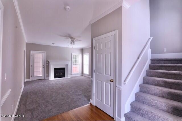 3731 Langston Boulevard Property Photo 3