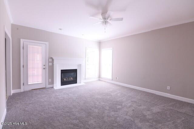 3731 Langston Boulevard Property Photo 4