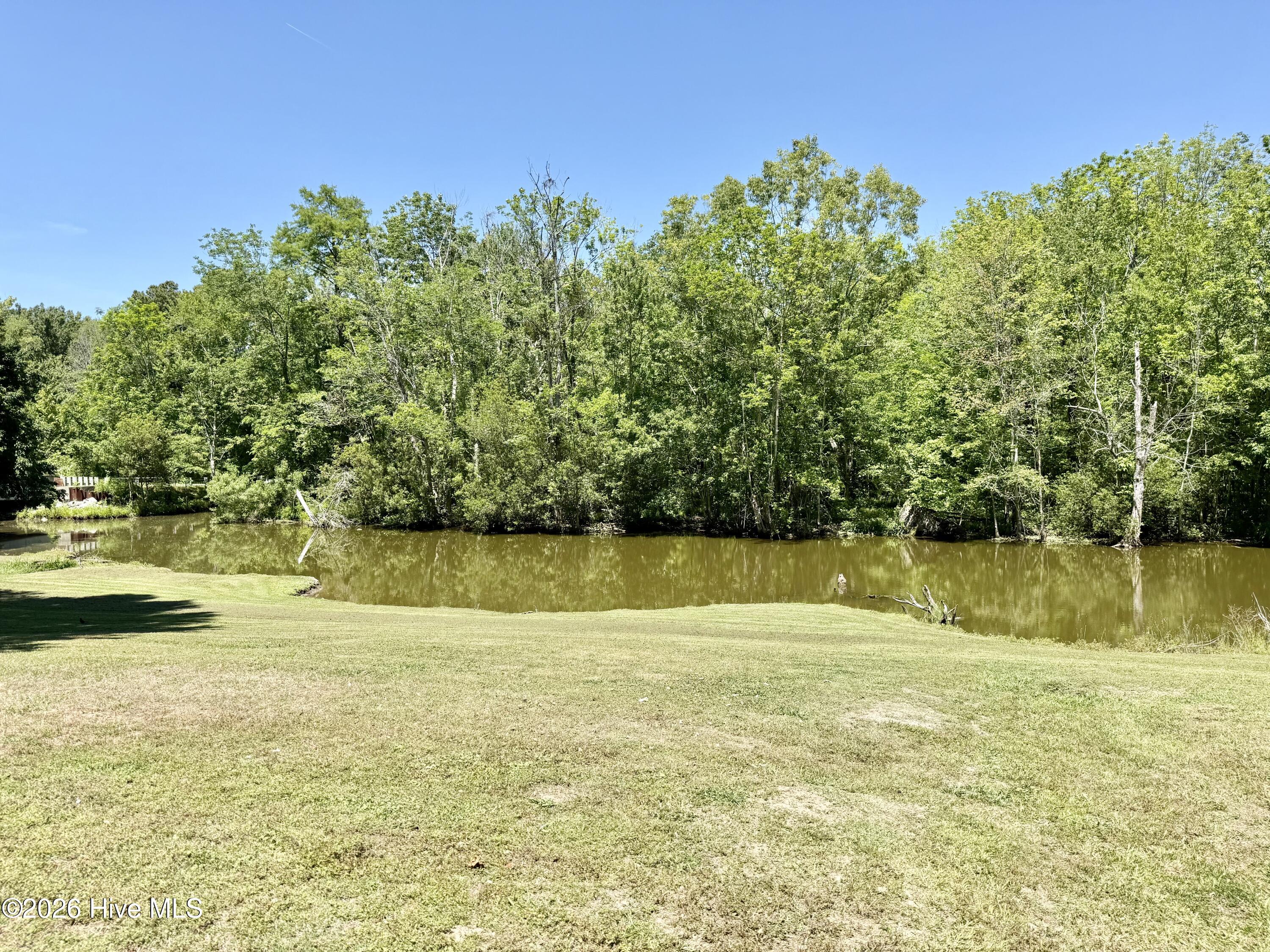 132 Bluegill Circle Property Photo 17