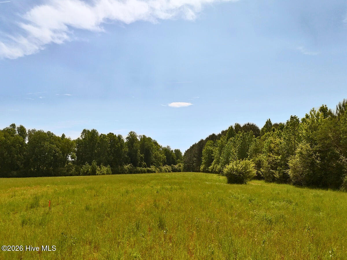0 Old Chinquapin Road