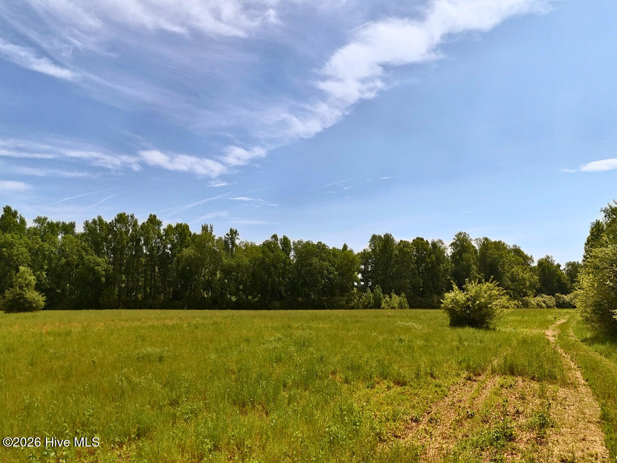 0 Old Chinquapin Road Property Photo 17
