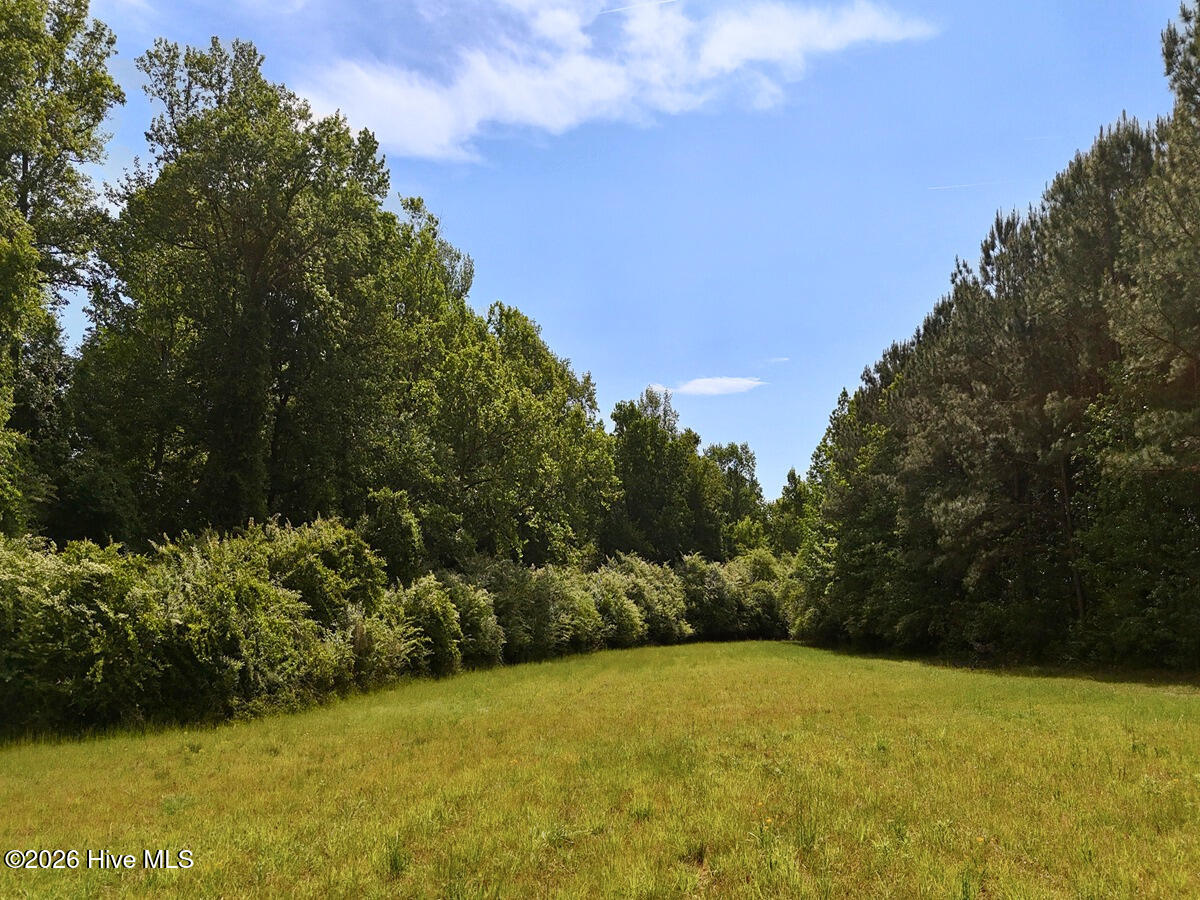 0 Old Chinquapin Road Property Photo 18