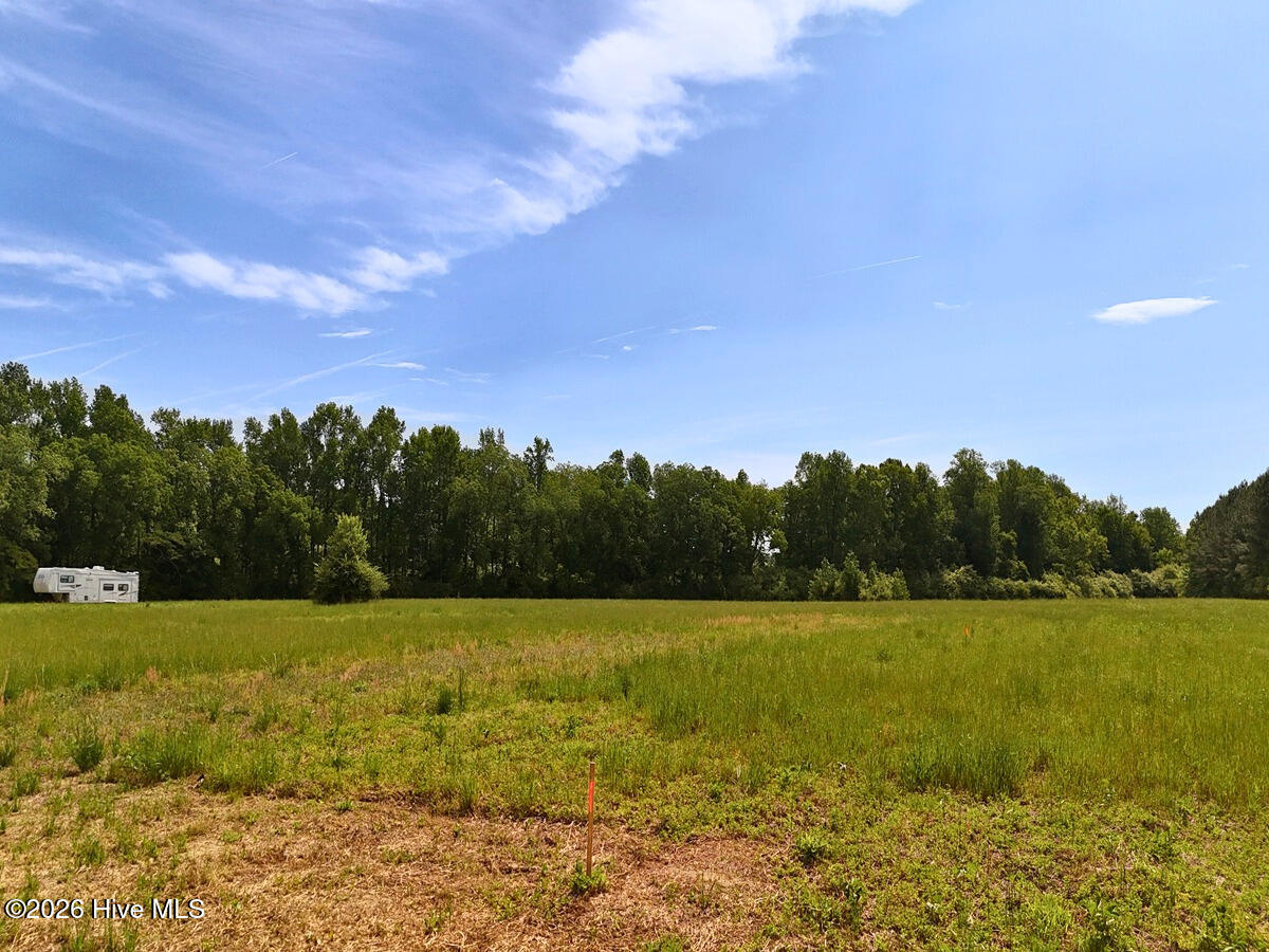 0 Old Chinquapin Road Property Photo 19