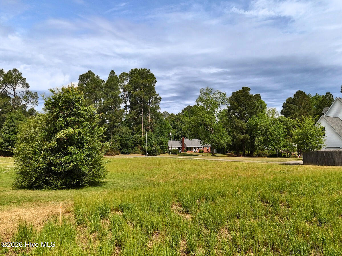 0 Old Chinquapin Road Property Photo 28