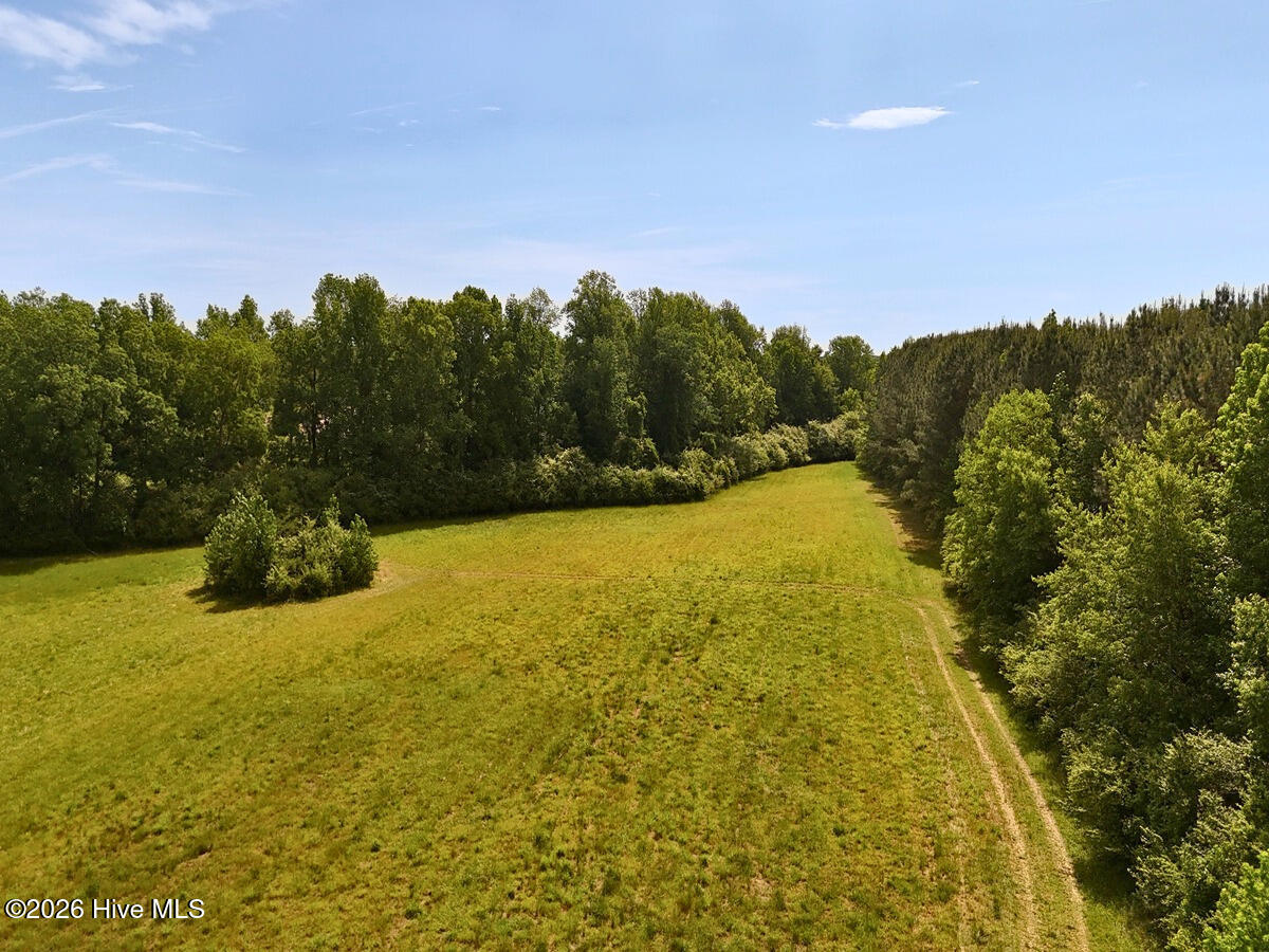 0 Old Chinquapin Road Property Photo 29