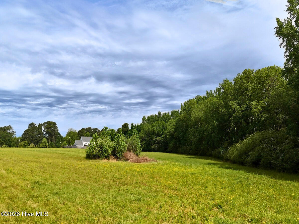 0 Old Chinquapin Road Property Photo 31