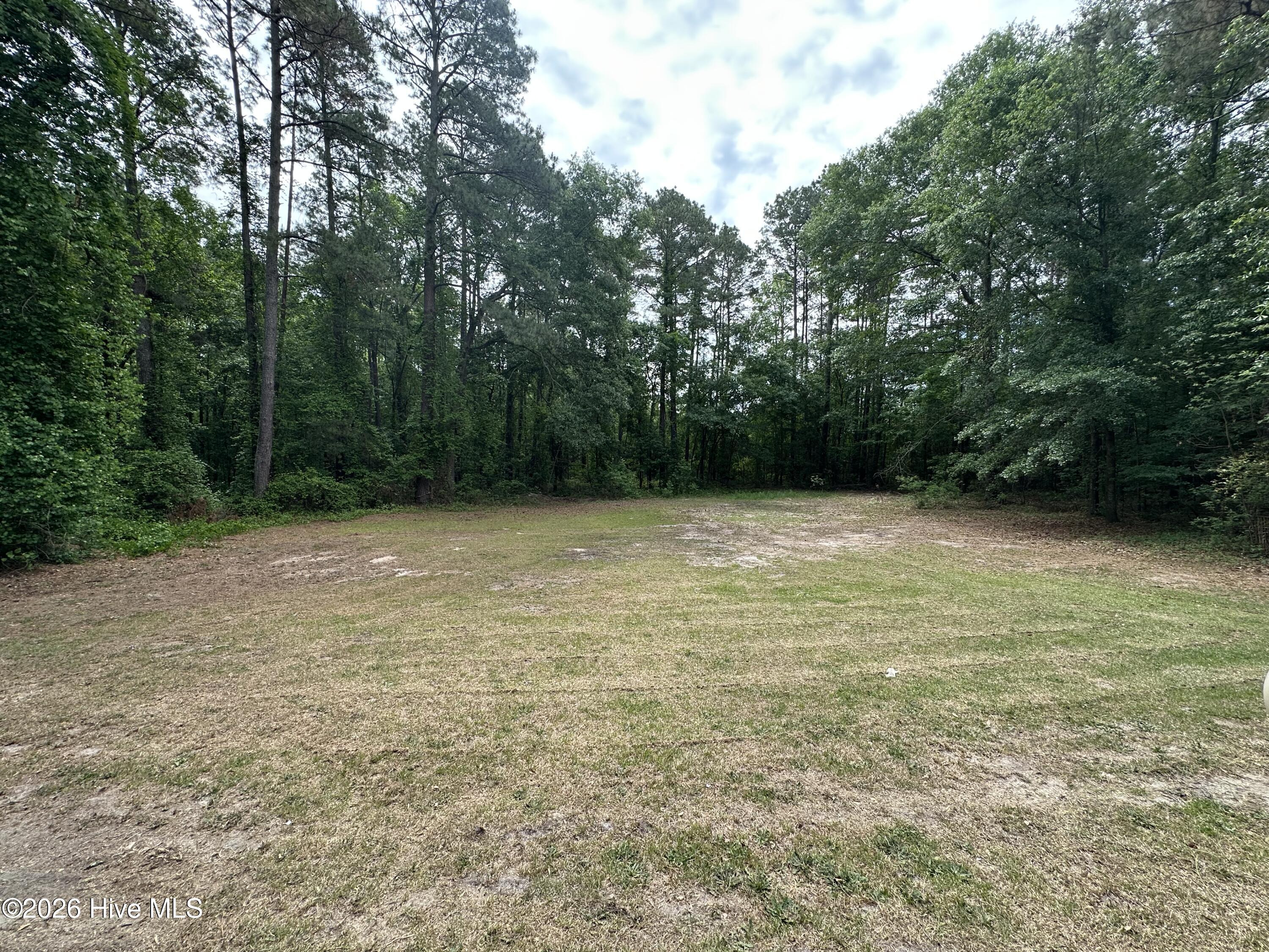 10481 Bostic Road Property Photo 21