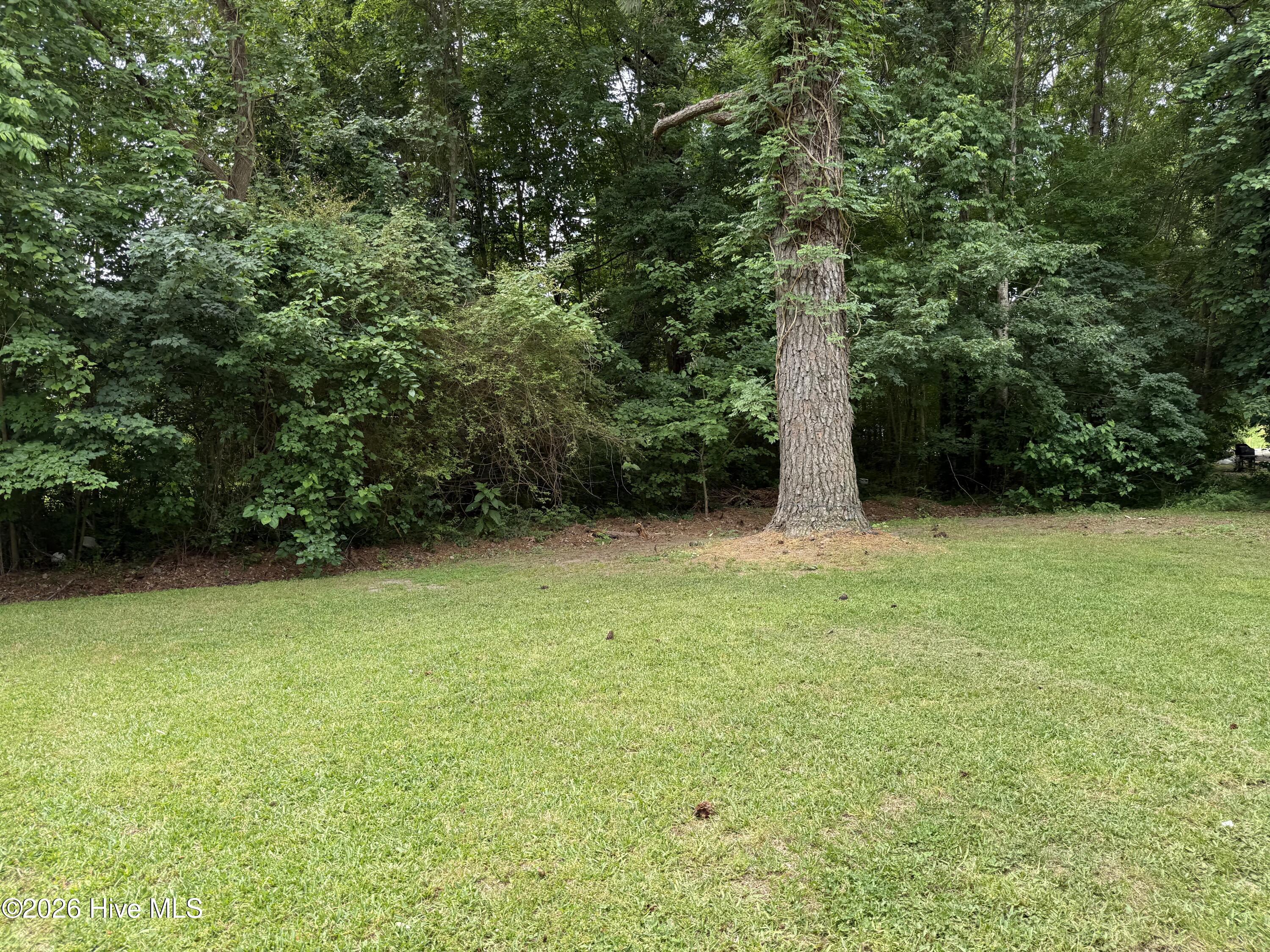 424 White Oak Drive Property Photo 17