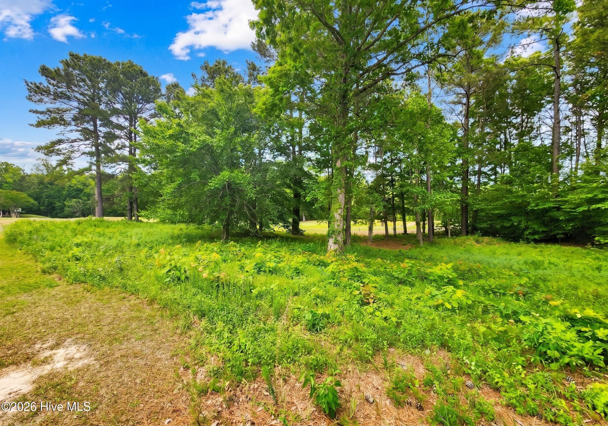 142 12 Scuppernong River Drive Property Photo 6
