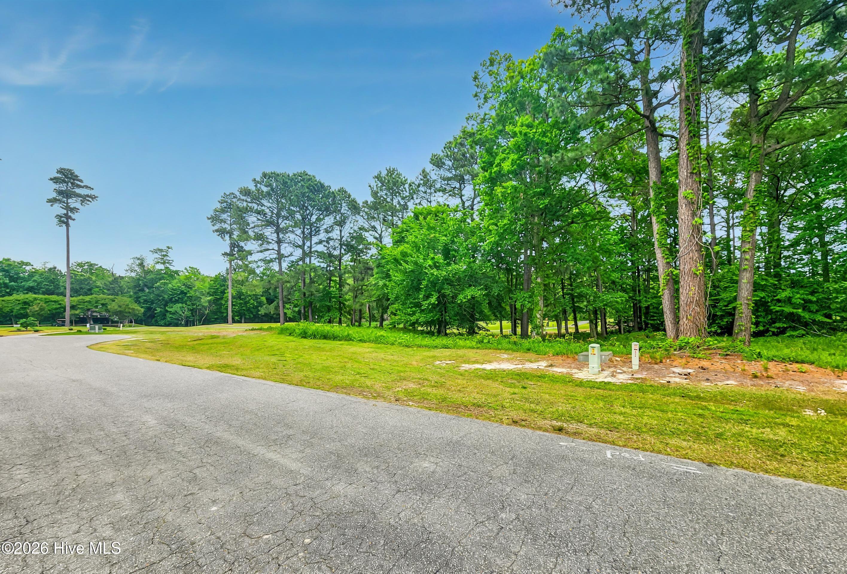 142 12 Scuppernong River Drive Property Photo 7