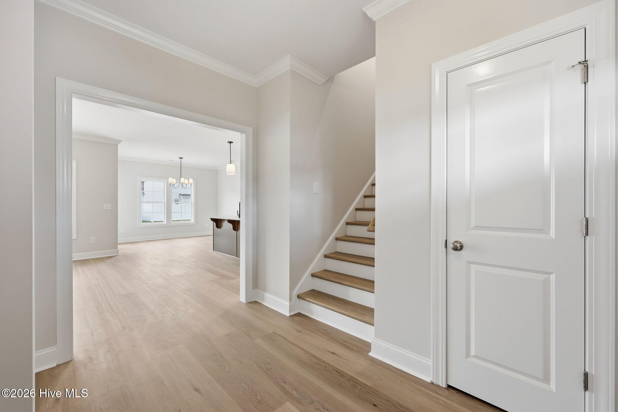 1005 Finn Court Property Photo 5