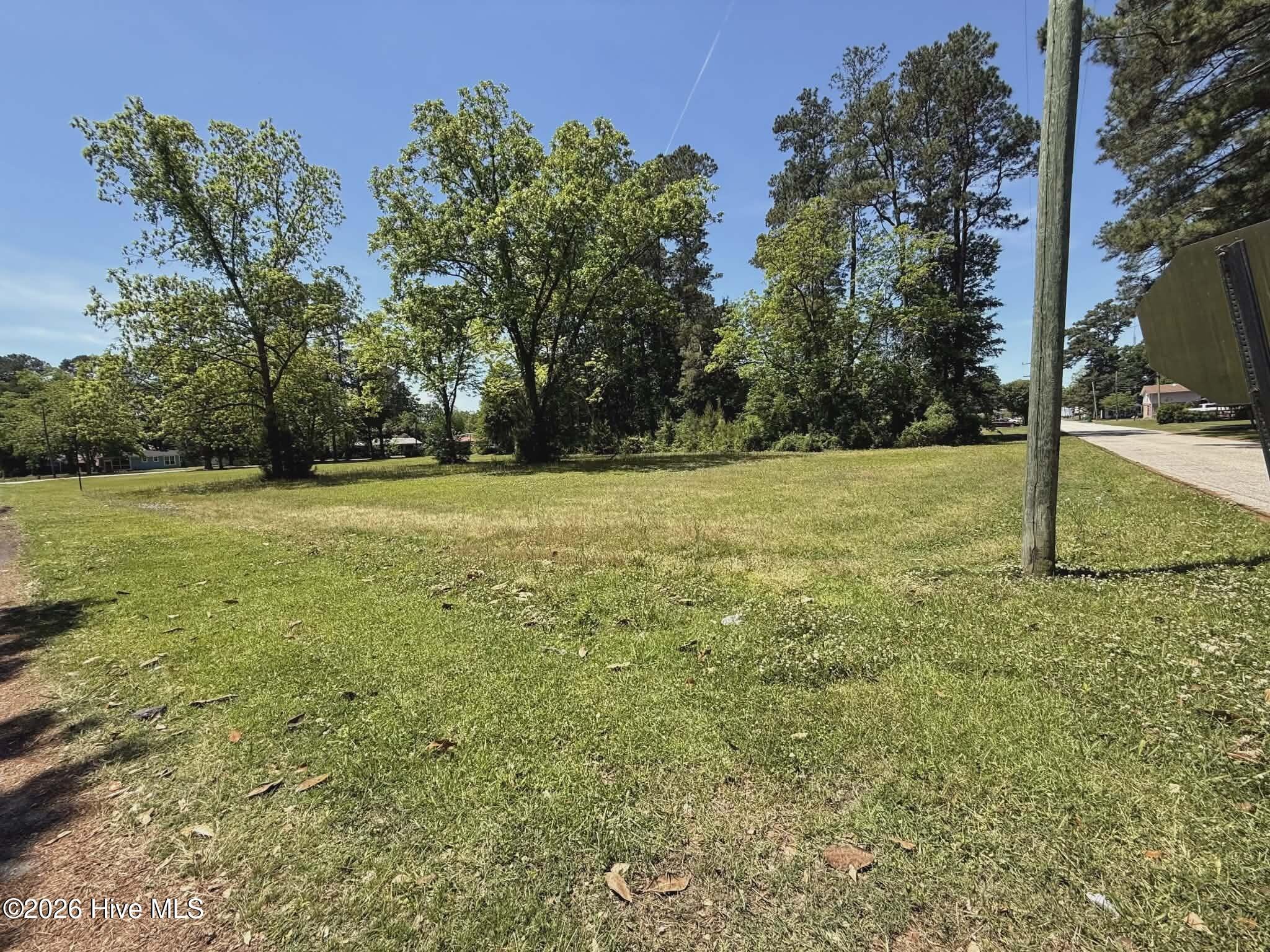 Lot 98 Near 210 E 5th Avenue Property Photo 3