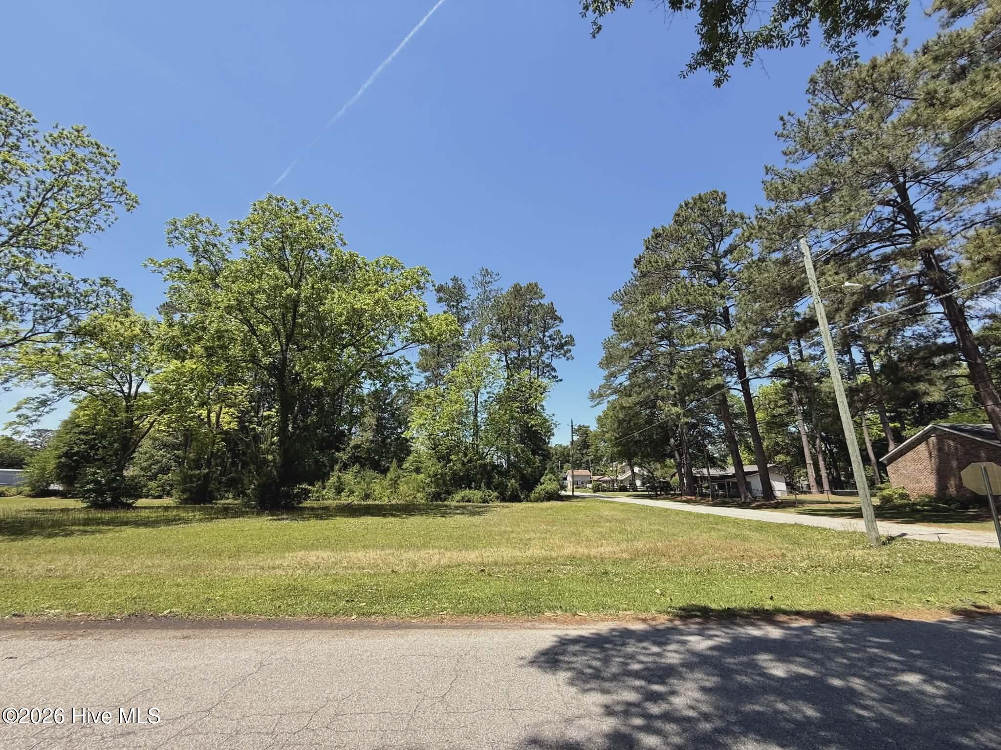 Lot 98 Near 210 E 5th Avenue Property Photo 4