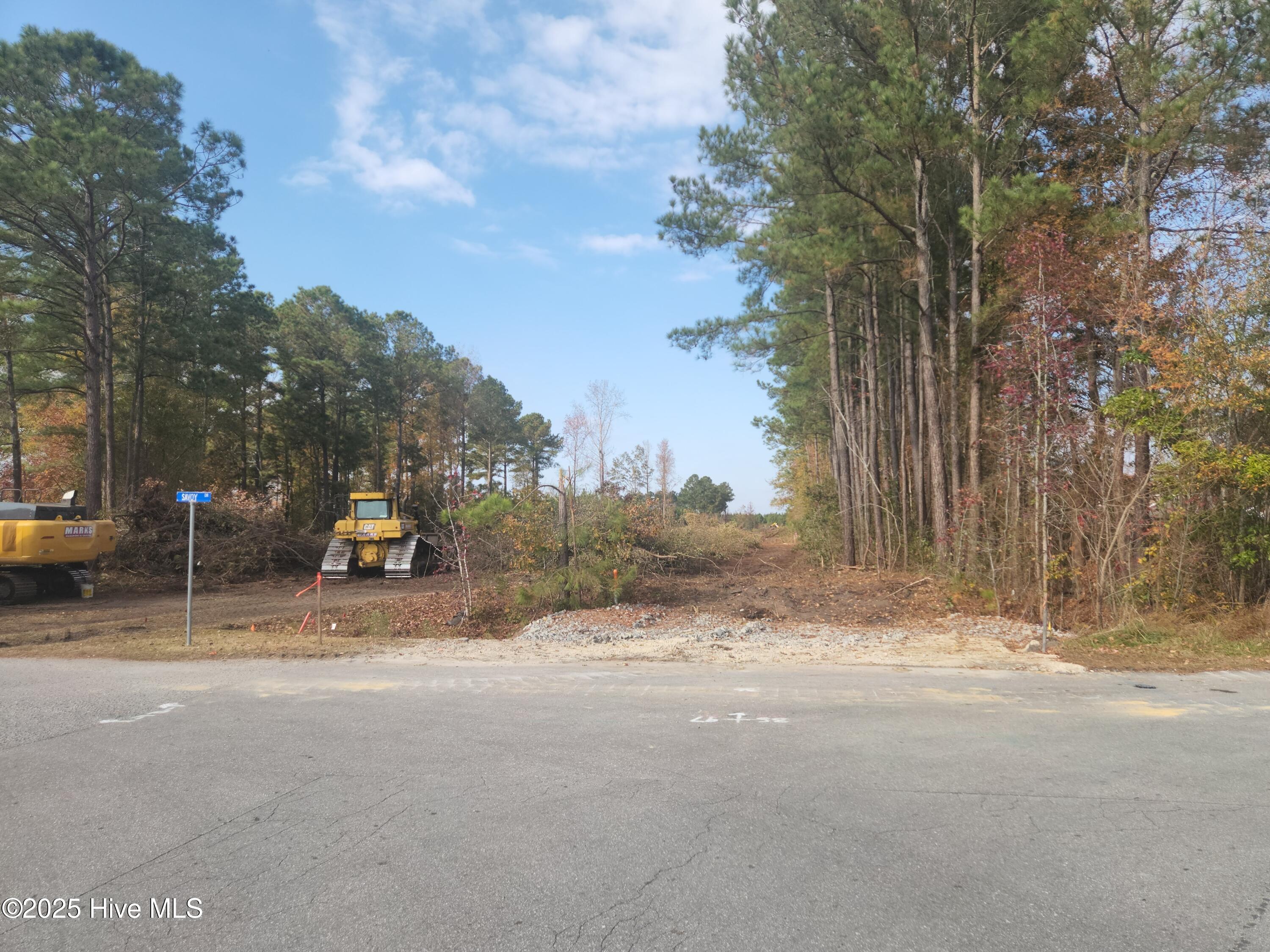 12 Acres Dr Mlk Jr Boulevard Property Photo 8