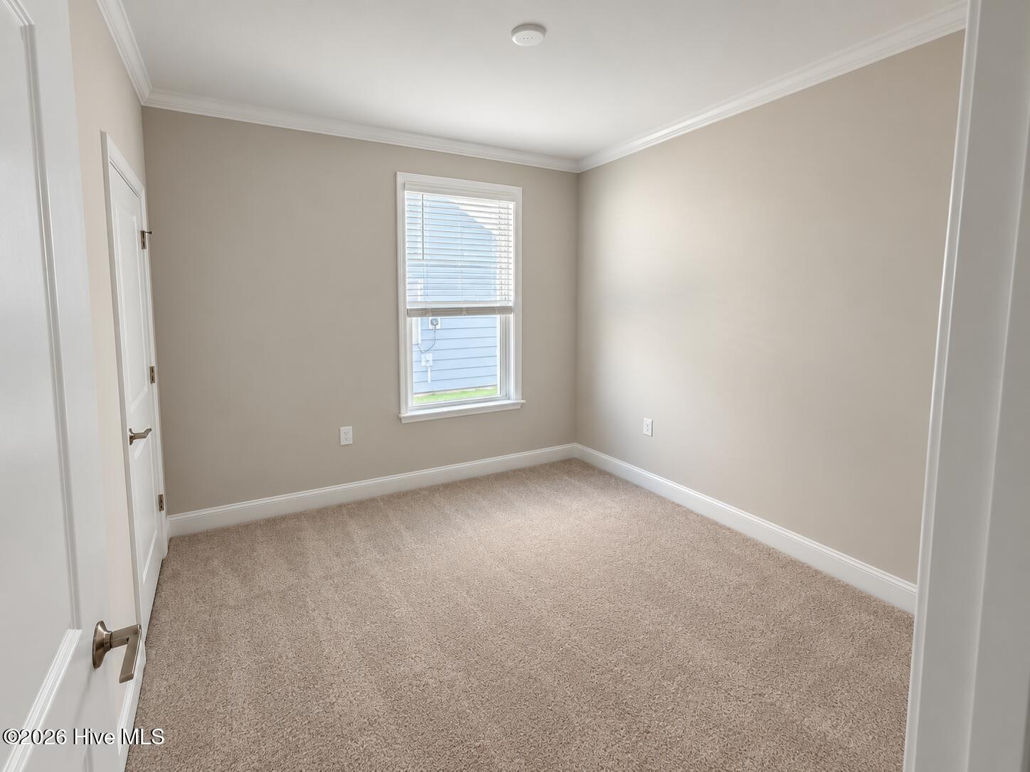 4173 Yellow Flag Iris Street Property Photo 11