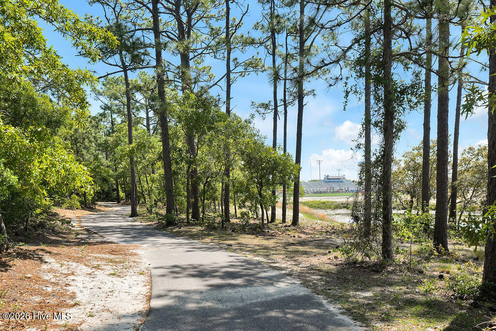 121 Colquitt Drive Property Photo 44