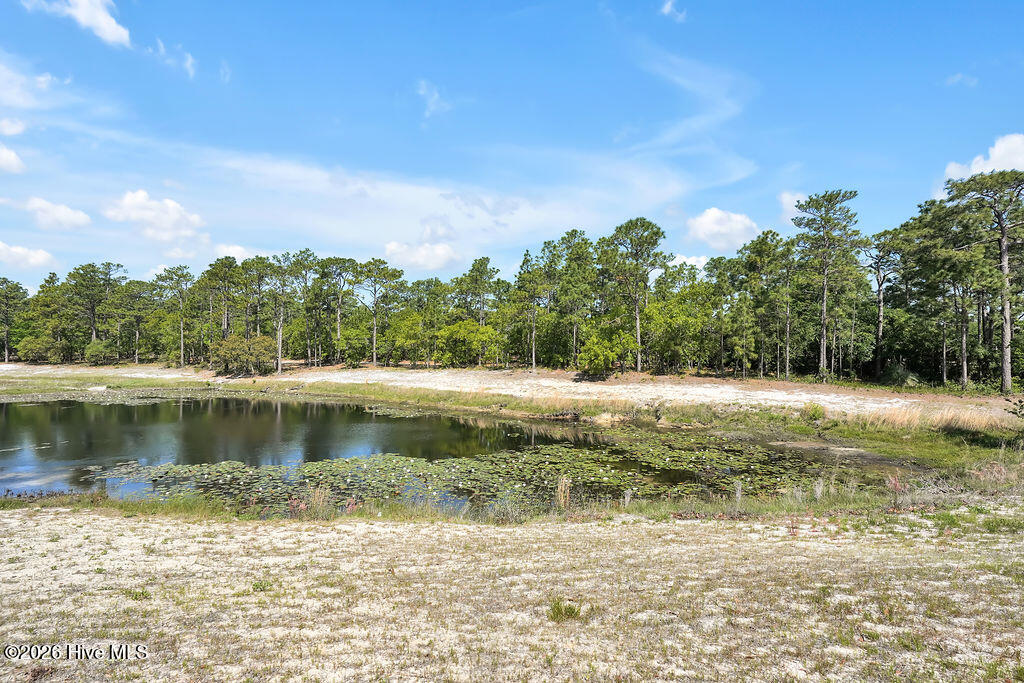 121 Colquitt Drive Property Photo 46